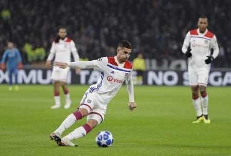 了优质的条 了优质的条